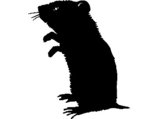 Sticker Custom Preview Image #026033 Animals Silhouettes Gerbil