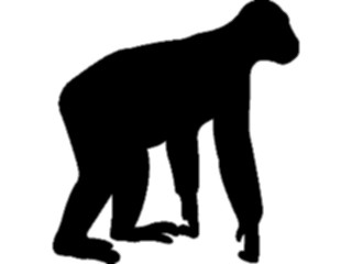 Sticker Custom Preview Image #026040 Animals Silhouettes Gorilla