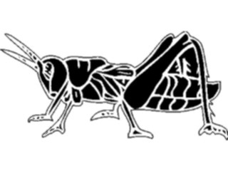 Sticker Custom Preview Image #026043 Animals Silhouettes Grasshopper3