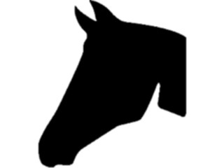 Sticker Custom Preview Image #026059 Animals Silhouettes Horse08