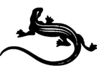 Sticker Custom Preview Image #026096 Animals Silhouettes Lizard5