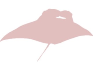 Sticker Custom Preview Image #026107 Animals Silhouettes Manta Ray1