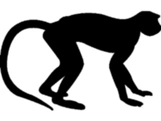 Sticker Custom Preview Image #026114 Animals Silhouettes Monkey2