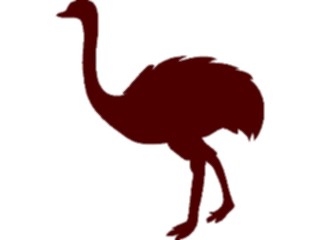 Sticker Custom Preview Image #026124 Animals Silhouettes Ostrich1