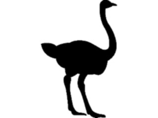 Sticker Custom Preview Image #026125 Animals Silhouettes Ostrich2