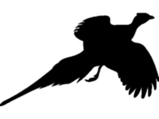 Sticker Custom Preview Image #026170 Animals Silhouettes Pheasant2