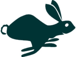 Sticker Custom Preview Image #026189 Animals Silhouettes Rabbit02