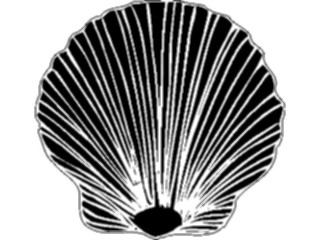 Sticker Custom Preview Image #026213 Animals Silhouettes Sea Shell