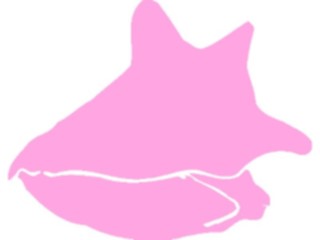 Sticker Custom Preview Image #026214 Animals Silhouettes Sea Shell Conch