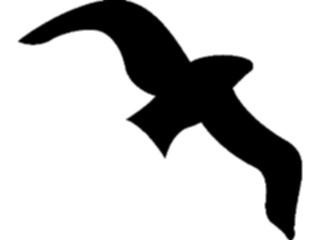 Sticker Custom Preview Image #026215 Animals Silhouettes Seagull1