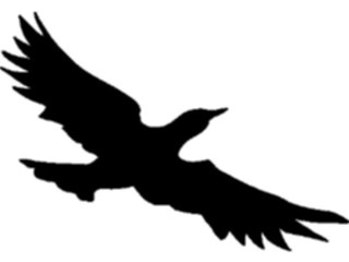 Sticker Custom Preview Image #026216 Animals Silhouettes Seagull2