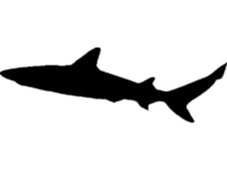Sticker Custom Preview Image #026225 Animals Silhouettes Shark1