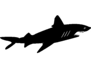Sticker Custom Preview Image #026227 Animals Silhouettes Shark3