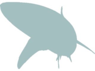 Sticker Custom Preview Image #026230 Animals Silhouettes Shark6