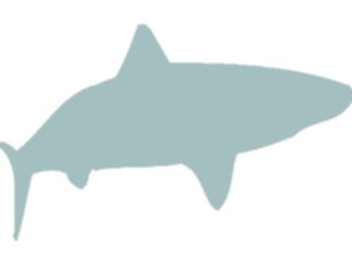 Sticker Custom Preview Image #026231 Animals Silhouettes Shark7