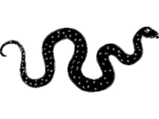 Sticker Custom Preview Image #026248 Animals Silhouettes Snake5