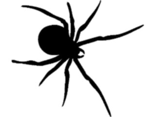 Sticker Custom Preview Image #026250 Animals Silhouettes Spider1