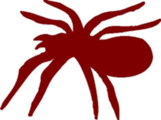 Sticker Custom Preview Image #026253 Animals Silhouettes Spider4