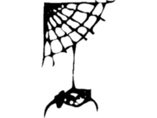 Sticker Custom Preview Image #026254 Animals Silhouettes Spider Web