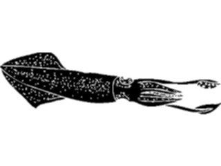 Sticker Custom Preview Image #026256 Animals Silhouettes Squid2