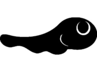Sticker Custom Preview Image #026282 Animals Silhouettes Tadpole1