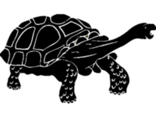 Sticker Custom Preview Image #026284 Animals Silhouettes Tortoise