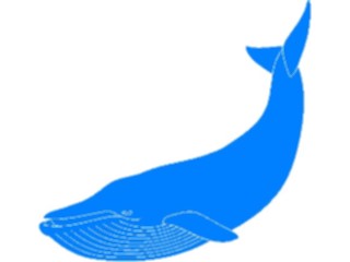 Sticker Custom Preview Image #026295 Animals Silhouettes Whale1