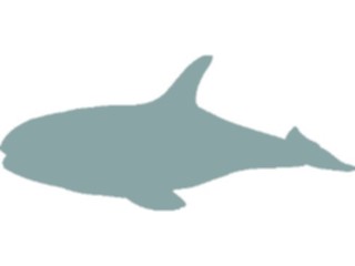 Sticker Custom Preview Image #026297 Animals Silhouettes Whale3
