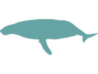 Sticker Custom Preview Image #026299 Animals Silhouettes Whale Humpback