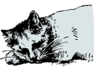 Sticker Custom Preview Image #026373 Antique Style Animals Cat Napping