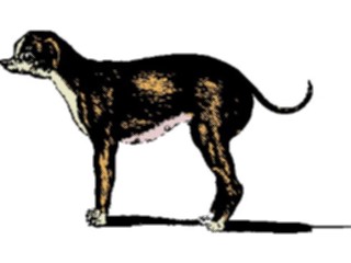 Sticker Custom Preview Image #026385 Antique Style Animals Dog Standing