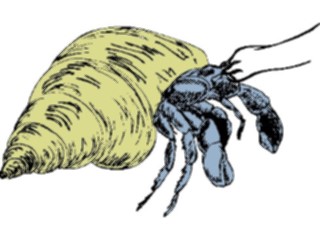 Sticker Custom Preview Image #026389 Antique Style Animals Hermit Crab