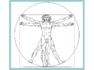 Sticker Custom Preview Image #029676 Art Design Fine Artda Vinci Sketch1