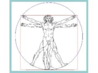 Sticker Custom Preview Image #029676 Art Design Fine Artda Vinci Sketch1