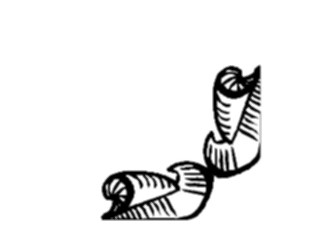 Sticker Custom Preview Image #031733 Borders Corners Corner0091