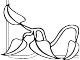 Sticker Custom Preview Image #032196 Borders Corners Corner0554