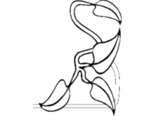 Sticker Custom Preview Image #032201 Borders Corners Corner0559