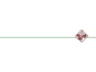 Sticker Custom Preview Image #037216 Borders Horizontal Border401