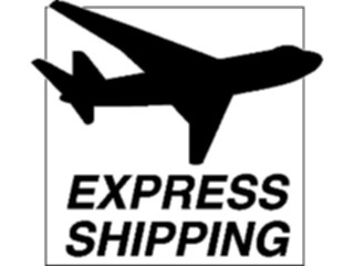 Sticker Custom Preview Image #041973 Business Office Titles Symbols Express Shipping