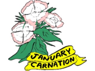 Sticker Custom Preview Image #042275 Calendar Birthstones Flowers01 January Carnation