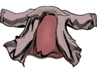 Sticker Custom Preview Image #044559 Clothing Accessories Clothing Fashion Jacket11