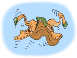 Sticker Custom Preview Image #044731 Clothing Accessories Clothing Fashion Shirt Flying