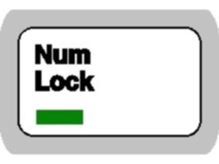 Sticker Custom Preview Image #046621 Computers Keyboard Keys Key Num Lock On