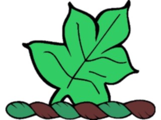 Sticker Custom Preview Image #049362 Crests Emblems Plants Leaf