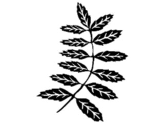 Sticker Custom Preview Image #049849 Crests Emblems Silhouettes Leaves