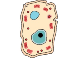 Sticker Custom Preview Image #051500 Education Schools School Subjects Biology Animal Cell