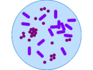 Sticker Custom Preview Image #051501 Education Schools School Subjects Biology Bacteria