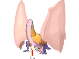 Sticker Custom Preview Image #055935 Fantasy Medieval Images Dragonwith Wizard2