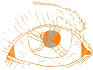 Sticker Custom Preview Image #055997 Fantasy Medieval Images Eye Fairy