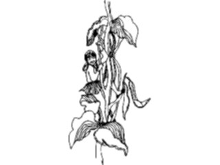 Sticker Custom Preview Image #056372 Fantasy Medieval Images Jackthe Beanstalk
